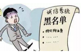 璧山为什么选择专业追讨公司来处理您的债务纠纷？